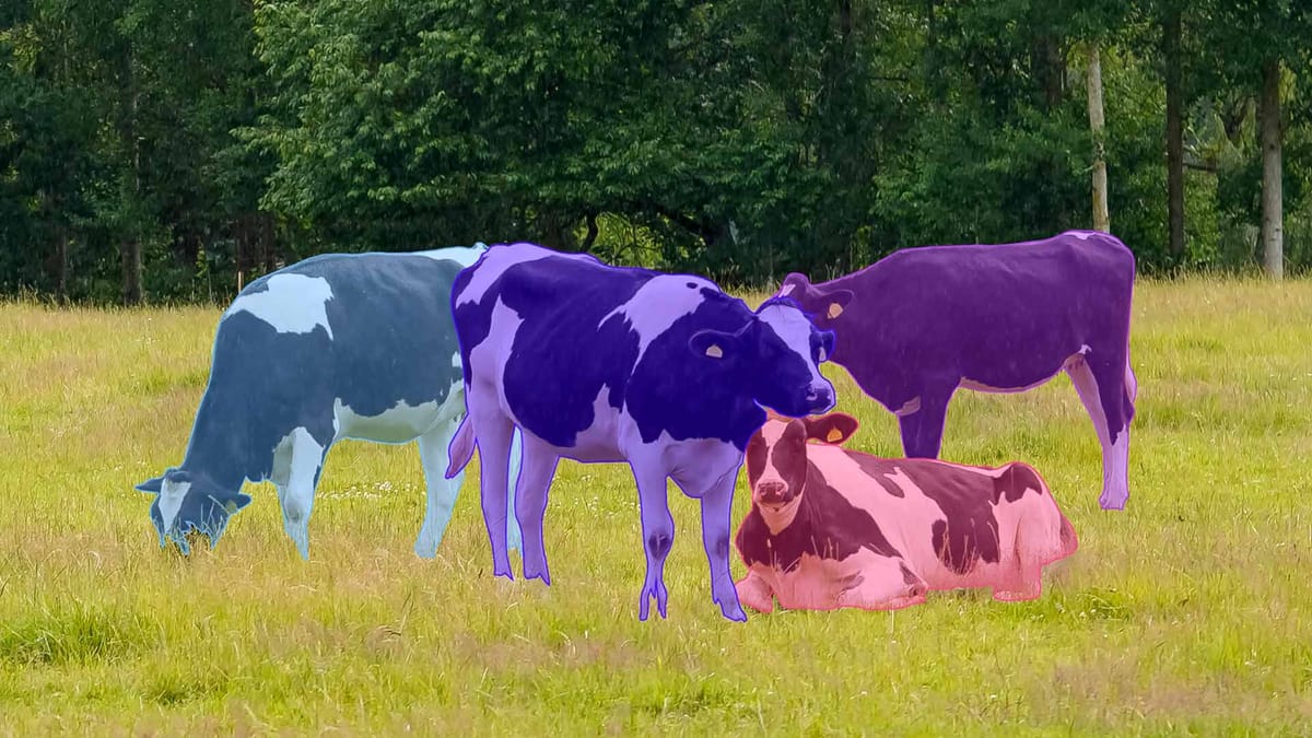 Livestock Data Annotation Services: Revolutionizing Farming | Keymakr