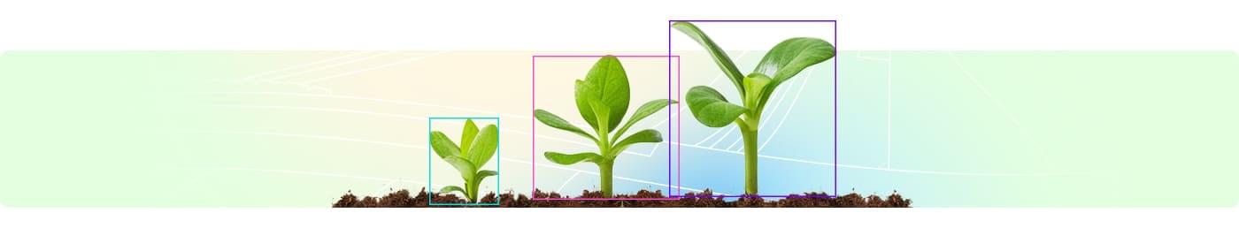 Agricultural Data Annotation