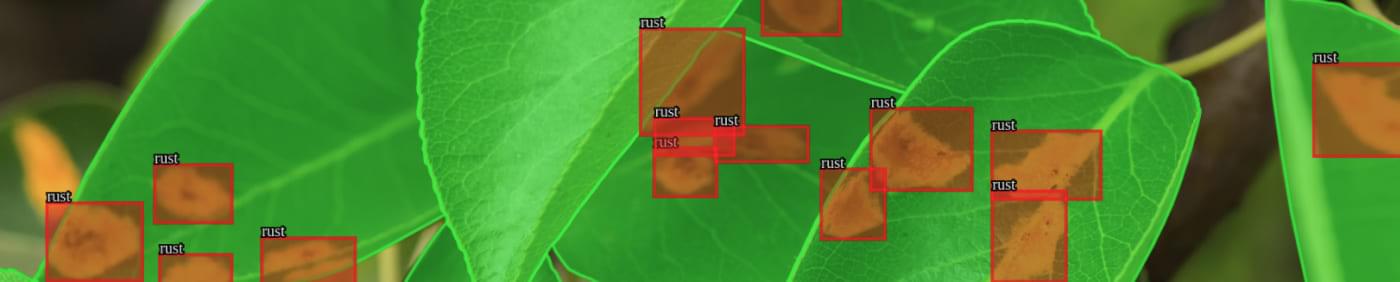 Crop Disease Detection