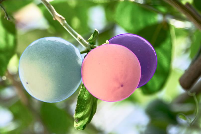 Instance Segmentation