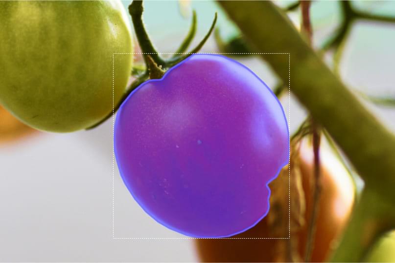 Automatic Annotation