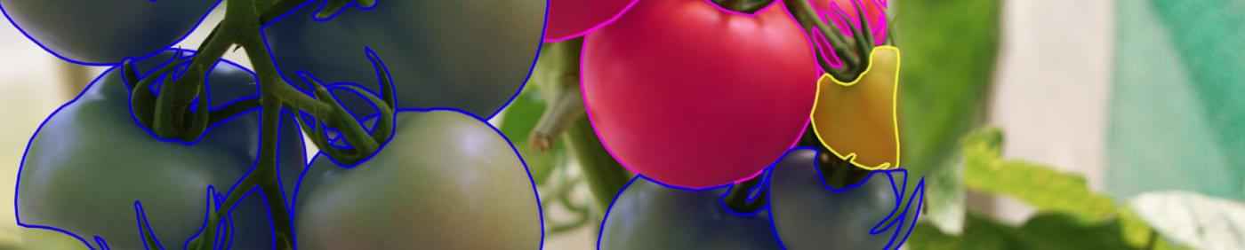 Image Annotation